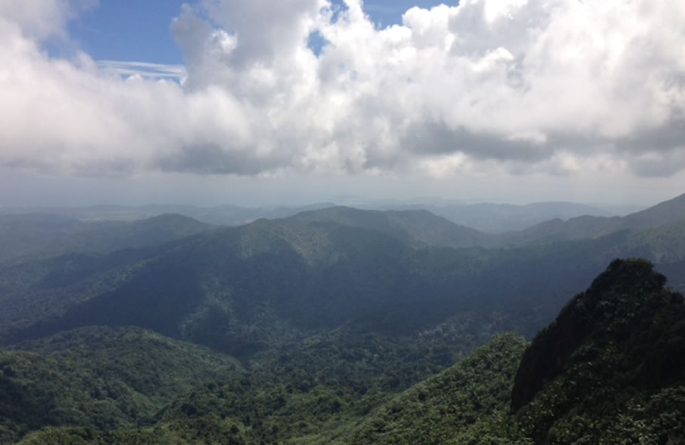 El Yunque vortex