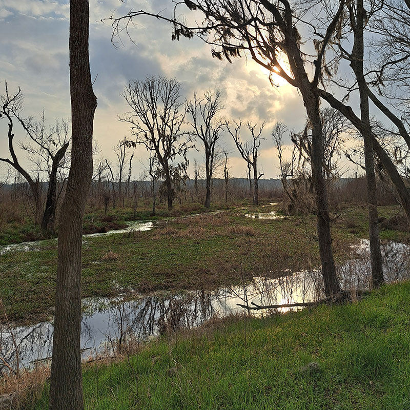 Big Bend Texas vortex