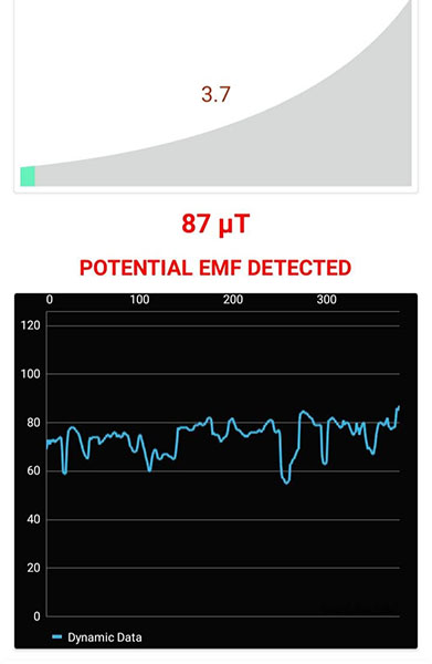 Black Forest vortex EMF reading