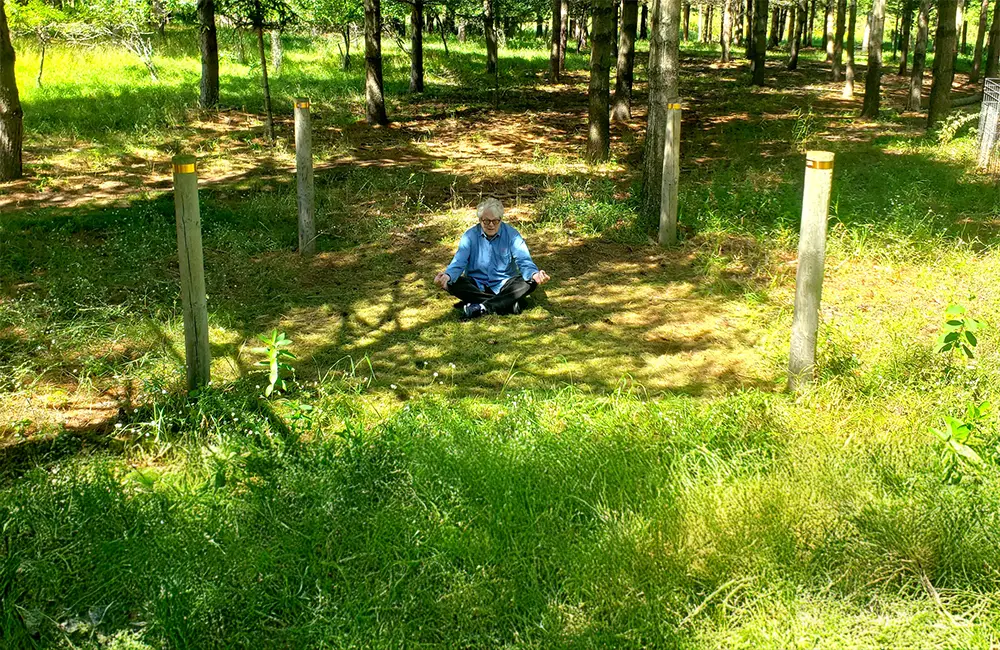 Green Island Preserve Vortex